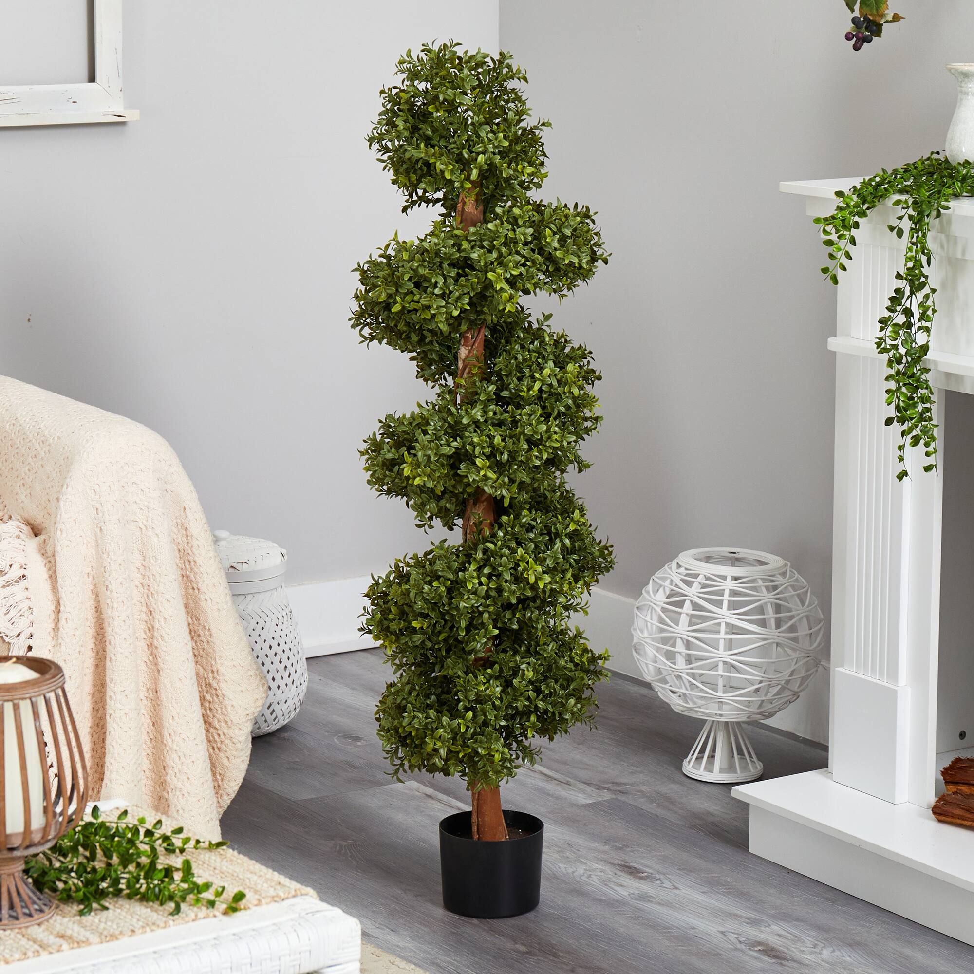 4ft. Potted Spiral Boxwood Topiary Tree